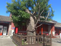 -妙应寺白塔