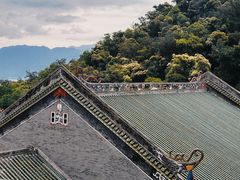 -鼎湖山风景区