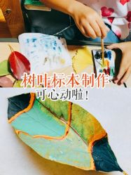 点击看大图 -麦粒鸟亲子游
