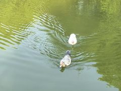 -金稼园·金平湖农家菜