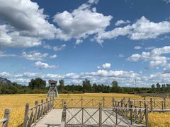 -北京龙庆四季香农家饭庄·灶台鱼·碳烤虹鳟鱼(龙庆峡店)