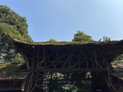 -青城山