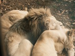 -杭州野生动物世界