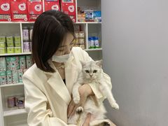 -极木²邸 人与宠物·互动社区