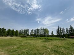 -黄海国家森林公园