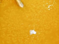 -阳阳中国饭(龙湖大兴天街)