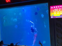 -中央电视塔旋转餐厅
