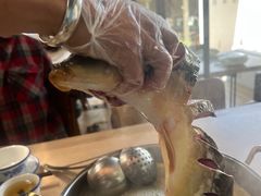 -大理老字号·舟渔的鱼野生菌海景餐厅(双廊店)