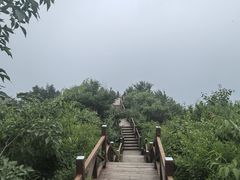 -大岭沟猕猴桃谷风景区