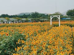 -盈香心动乐园