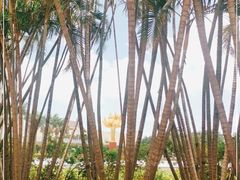 -金莲花广场