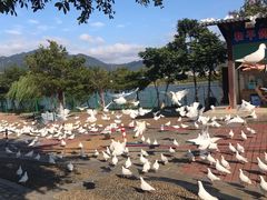 -飞来湖湿地公园