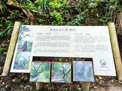 -黄葛古道