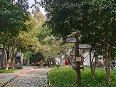 -西溪国家湿地公园