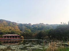 -顺峰山公园
