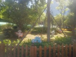 -厦门市儿童医院