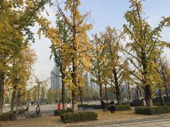 -百林公园-两江幸福广场
