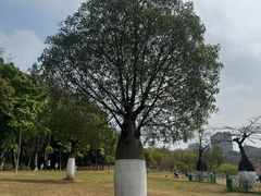 -东莞植物园