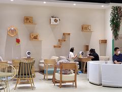 -藏猫猫咖啡主题馆(中央大道店)