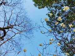 -滨湖塘西河公园