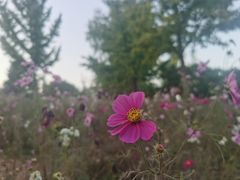 -鬼笑石后山停车场