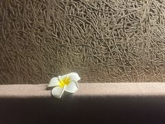 -厘舍SPA(月湖公园店)
