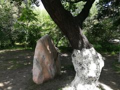 -黑龙江中医药大学