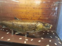 -南京金牛湖风景区