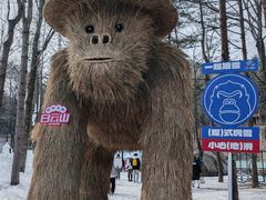 -洛阳白云山景区