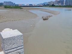 -洛阳桥