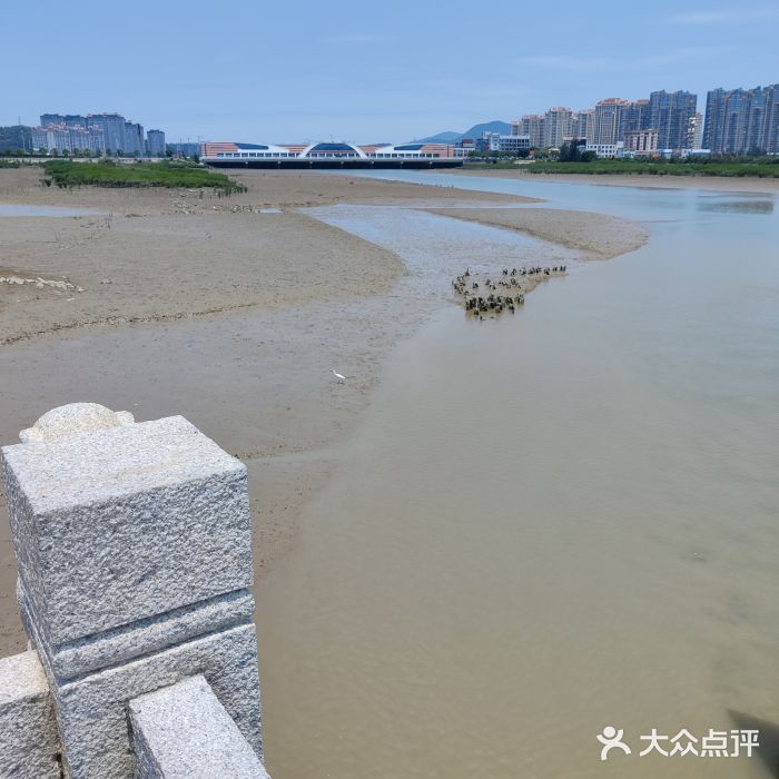 洛阳桥图片