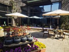 -瓦库茶馆17号(海汇港店)