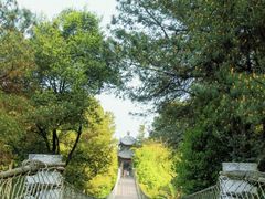 -铁山坪森林公园