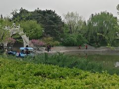 -团结湖公园