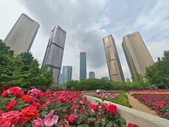 -大望京公园