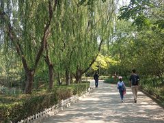 -塘沽森林公园