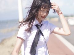 -汕尾风车岛