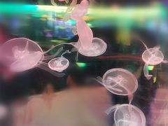 -苏州海洋馆