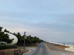 -渡海小渔村.老辈日照菜