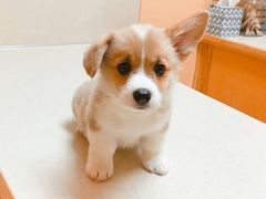 -筋面郎(东坡店)