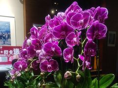 -黔蘑菇四季餐厅(观山湖店)