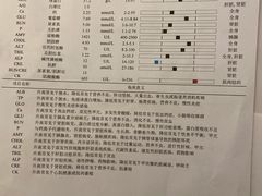 -邢大夫动物医院