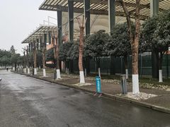 -成都高新创新角度网球俱乐部