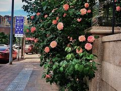 -Let's Taipei 非常烘焙(太古里店)