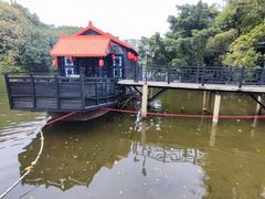 -侨美·唐荔园·40年地道粤菜