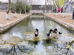-春风习习