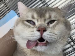 -良伴无忧宠物医院(泰欣嘉园店)