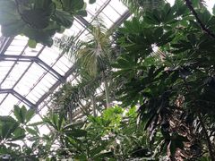 -南山植物园