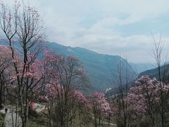 -九皇山景区