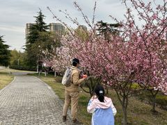 -白塘生态植物园